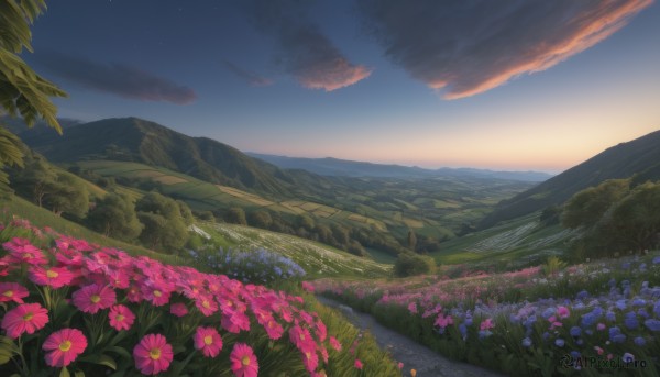 flower,outdoors,sky,cloud,tree,blue sky,no humans,cloudy sky,grass,star (sky),nature,scenery,pink flower,forest,blue flower,sunset,mountain,purple flower,road,field,flower field,landscape,mountainous horizon,gradient sky,path,hill,plant,starry sky,evening