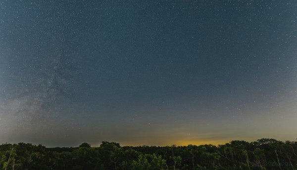 outdoors,sky,cloud,tree,no humans,night,grass,star (sky),nature,night sky,scenery,forest,starry sky,sunset,gradient sky,signature,star (symbol)