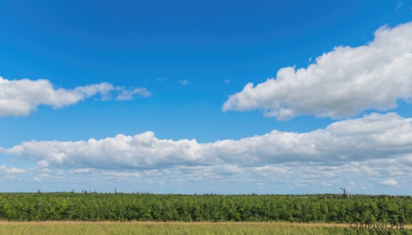 outdoors,sky,day,cloud,tree,blue sky,no humans,bird,cloudy sky,grass,nature,scenery,forest,road,field,power lines,utility pole,landscape,hill,fence