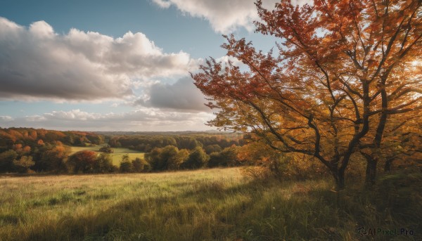 outdoors,sky,day,cloud,water,tree,blue sky,no humans,leaf,cloudy sky,grass,nature,scenery,forest,mountain,horizon,road,autumn leaves,field,autumn,landscape,path,hill