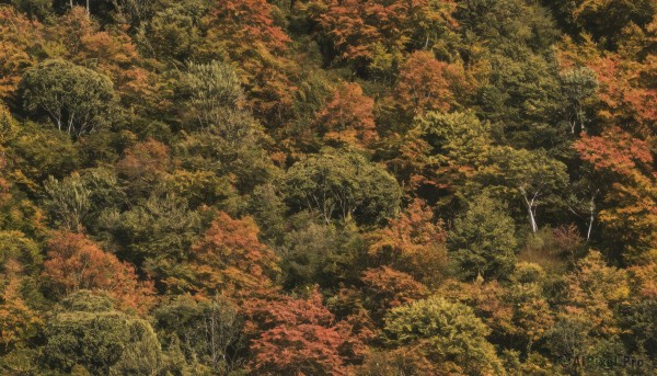 A landscape captured in a tranquil outdoors