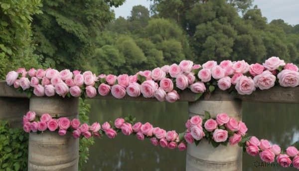 A garden caught in a breathtaking day