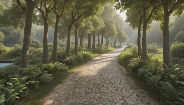 Day brought to life with a captivating landscape