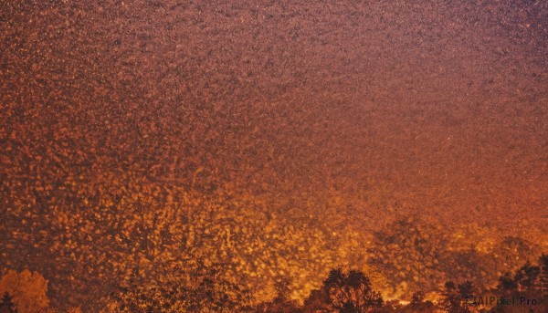 outdoors,sky,cloud,tree,no humans,night,leaf,moon,star (sky),nature,scenery,forest,starry sky,sunset,crescent moon,orange sky,orange theme,autumn leaves,red theme,autumn