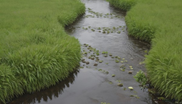 outdoors,day,water,tree,no humans,grass,plant,nature,scenery,rock,road,river,lily pad,path,pond,artist name,signature,watermark,reflection,bush,green theme