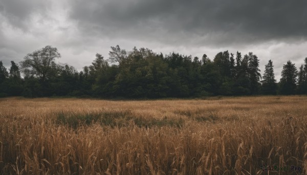 The charm of a landscape in a tranquil day