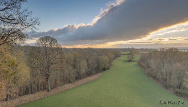 outdoors,sky,day,cloud,tree,blue sky,no humans,cloudy sky,grass,nature,scenery,sunset,mountain,bare tree,landscape,sunlight,forest,horizon,road,bush,field,path