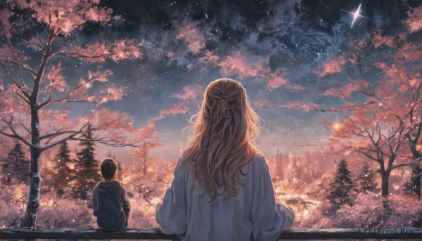 1girl,long hair,short hair,brown hair,black hair,long sleeves,1boy,sitting,jacket,outdoors,sky,cloud,hood,from behind,tree,hoodie,night,wavy hair,hood down,cherry blossoms,building,star (sky),night sky,scenery,half updo,starry sky,railing,facing away,bare tree,city lights,blonde hair,upper body,coat,nature,light particles,snow,sunset,winter,twilight,shooting star,sunrise,pine tree,milky way