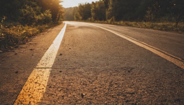 outdoors,sky,day,signature,blurry,tree,no humans,sunlight,grass,nature,scenery,forest,road,bush,photo background,cloud,sunset,realistic,street,path