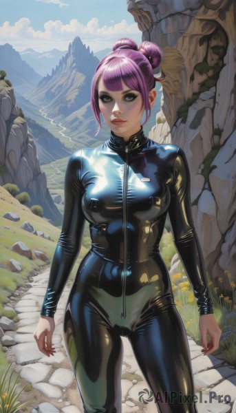 1girl,solo,breasts,looking at viewer,short hair,bangs,brown eyes,medium breasts,closed mouth,standing,pink hair,purple hair,outdoors,sky,day,shiny,artist name,cloud,blunt bangs,hair bun,blue sky,lips,grey eyes,bodysuit,makeup,single hair bun,grass,lipstick,skin tight,zipper,shiny clothes,rock,mountain,black bodysuit,eyeliner,latex,latex bodysuit,flower