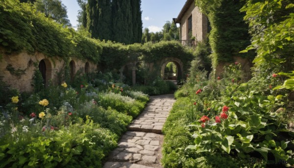 flower,outdoors,sky,day,cloud,tree,blue sky,no humans,window,grass,plant,red flower,building,nature,scenery,stairs,yellow flower,door,road,bush,wall,house,path,arch,garden,leaf,overgrown,stone wall,ivy