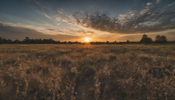 outdoors,sky,cloud,tree,no humans,sunlight,cloudy sky,grass,nature,scenery,forest,sunset,sun,field,landscape,hill,blue sky,star (sky),lens flare