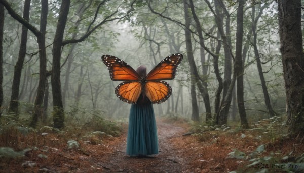 A charming day featuring a butterfly