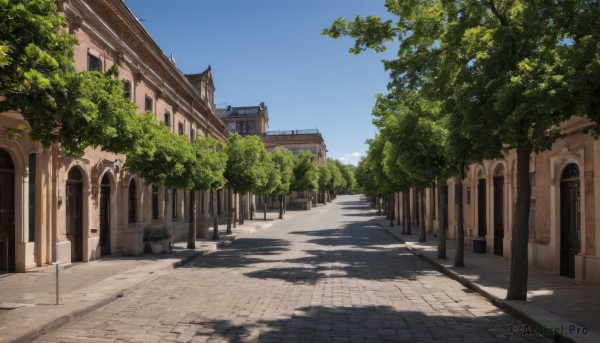 The elegance of a street in a idyllic day