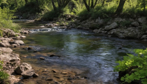 outdoors,day,water,tree,no humans,grass,plant,nature,scenery,forest,rock,bush,river,stone,pond,stream,signature,sunlight,moss