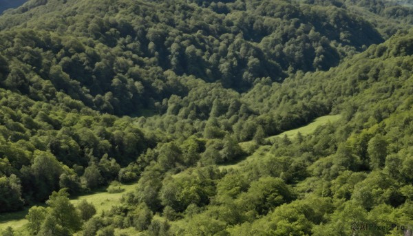 A landscape surrounded by a lush day