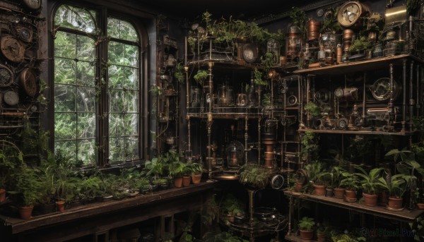 day,indoors,tree,dutch angle,no humans,window,table,sunlight,plant,nature,scenery,clock,bookshelf,potted plant,shelf,gears,analog clock,loaded interior,book,bottle,fantasy,lamp,vines,jar,overgrown,ivy