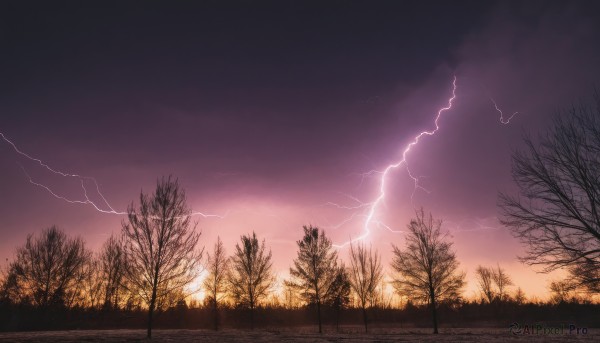 outdoors,sky,cloud,tree,no humans,cloudy sky,grass,nature,scenery,forest,sunset,fence,electricity,road,bare tree,lightning,purple sky,dark,landscape,gradient sky