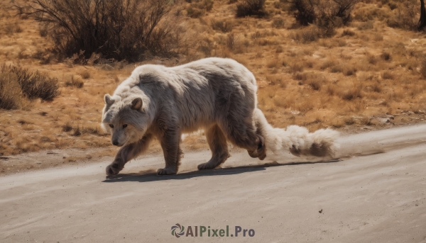 solo,outdoors,day,tree,no humans,shadow,animal,nature,scenery,forest,walking,realistic,animal focus,signature,from side,running,sand,brown theme