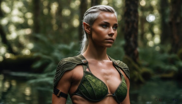 1girl,solo,long hair,breasts,blue eyes,cleavage,medium breasts,swimsuit,upper body,white hair,bikini,small breasts,pointy ears,dark skin,water,cape,armor,blurry,dark-skinned female,lips,depth of field,blurry background,elf,shoulder armor,nature,freckles,pauldrons,realistic,nose,green bikini,bikini armor,underwear,bra,forest,shoulder pads