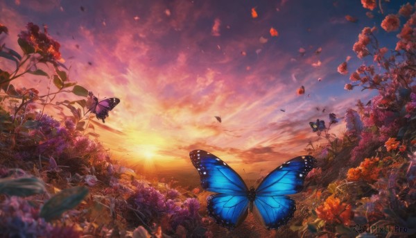 A butterfly captured beautifully in a tranquil sunset outdoors