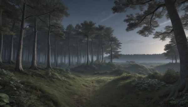 The charm of a landscape in a scenic sunset outdoors