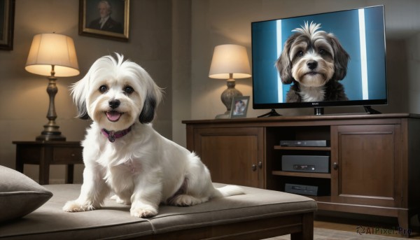 The charm of a dog in a bold dynamic scene