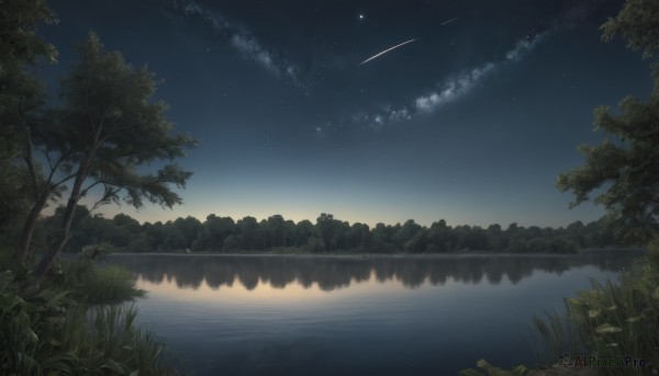 outdoors,sky,cloud,water,tree,no humans,night,grass,star (sky),nature,night sky,scenery,forest,starry sky,reflection,river,lake,shooting star,reflective water,signature