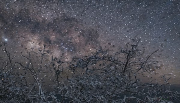 A landscape showcased in a bold snowy outdoors
