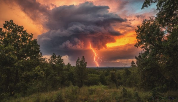 outdoors,sky,cloud,water,tree,no humans,sunlight,cloudy sky,grass,nature,scenery,forest,sunset,fantasy,sun,horizon,landscape,orange sky,ocean,mountain,electricity,lightning