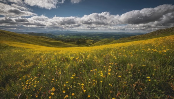 flower,outdoors,sky,day,cloud,blue sky,dutch angle,no humans,cloudy sky,grass,nature,scenery,yellow flower,horizon,field,flower field,landscape,signature,mountain,mountainous horizon