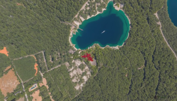 solo,flower,outdoors,sky,tree,no humans,from above,red flower,building,scenery,road,landscape,day,water,ocean,ground vehicle,nature,motor vehicle,map,overgrown