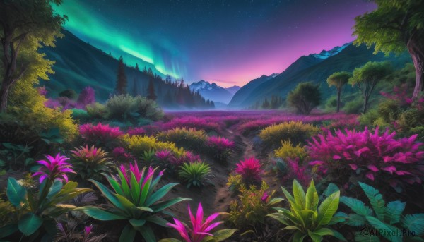 flower, outdoors, sky, tree, no humans, night, grass, star (sky), nature, night sky, scenery, forest, starry sky, mountain, landscape, mountainous horizon