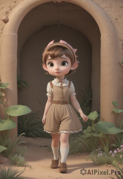 1girl,solo,looking at viewer,short hair,bangs,brown hair,shirt,dress,brown eyes,closed mouth,standing,full body,white shirt,flower,short sleeves,hairband,outdoors,frills,shoes,shorts,socks,puffy sleeves,collared shirt,belt,puffy short sleeves,kneehighs,brown footwear,suspenders,grass,plant,white socks,child,female child,brown dress,male child,brown shorts,hat,lips,mushroom