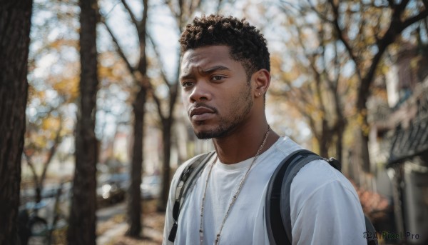 solo,short hair,shirt,black hair,1boy,brown eyes,jewelry,white shirt,upper body,male focus,earrings,outdoors,dark skin,necklace,bag,blurry,black eyes,tree,lips,blurry background,facial hair,piercing,dark-skinned male,backpack,t-shirt,beard,realistic,stubble,undercut,very dark skin,photo background,looking at viewer,closed mouth