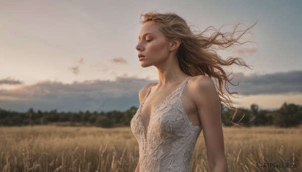 1girl,solo,long hair,breasts,brown hair,dress,bare shoulders,collarbone,closed eyes,upper body,small breasts,outdoors,parted lips,sky,sleeveless,day,cloud,white dress,blurry,lips,floating hair,depth of field,blurry background,grass,wind,mountain,realistic,nose,field,hill,blonde hair,medium breasts,tree