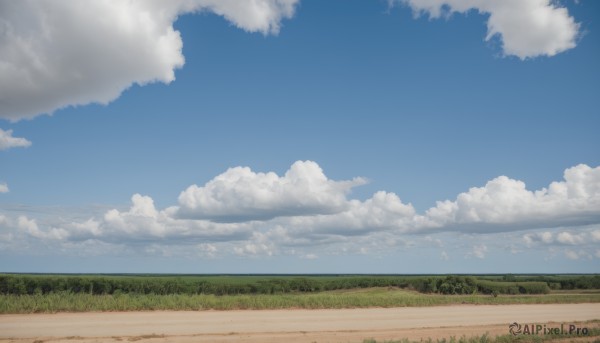 outdoors,sky,day,cloud,blue sky,no humans,ocean,beach,cloudy sky,grass,nature,scenery,horizon,road,field,landscape,hill,bird