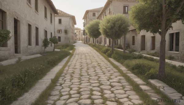 outdoors,sky,day,tree,no humans,window,grass,plant,building,scenery,stairs,door,road,bush,house,street,path,shadow,wall