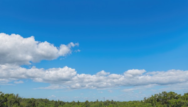 outdoors,sky,day,cloud,tree,blue sky,no humans,cloudy sky,grass,nature,scenery,forest,power lines,utility pole,signature