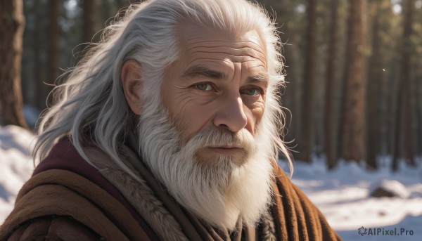 solo,long hair,looking at viewer,1boy,closed mouth,upper body,white hair,male focus,outdoors,day,blurry,tree,grey eyes,depth of field,blurry background,facial hair,scar,portrait,beard,scar on face,snow,snowing,mustache,scar across eye,old,old man,wrinkled skin,green eyes,lips,sunlight,thick eyebrows,messy hair,nature,forest,realistic,winter