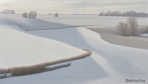 HQ,1girl,solo,outdoors,water,blurry,tree,no humans,scenery,sky,day,cloud,cloudy sky,grass,nature,snow,forest,reflection,winter,bare tree,lake,grey sky