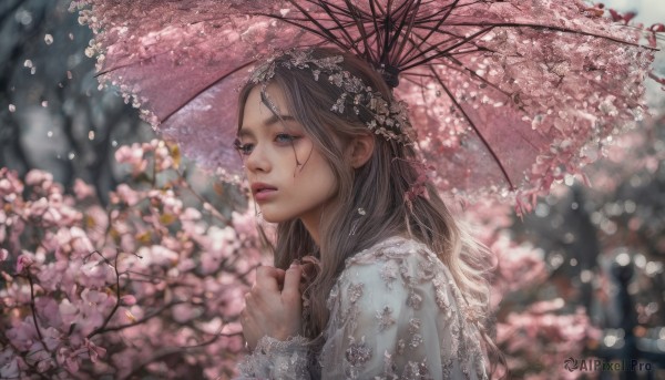 1girl, solo, long hair, blue eyes, brown hair, holding, upper body, flower, parted lips, blurry, lips, petals, depth of field, blurry background, umbrella, cherry blossoms, lace, holding umbrella, realistic, nose