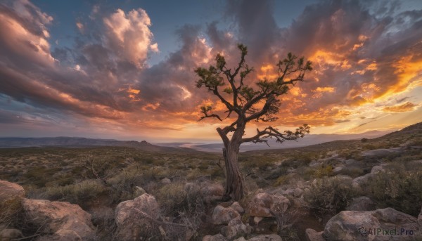 outdoors,sky,day,cloud,tree,blue sky,no humans,sunlight,cloudy sky,grass,nature,scenery,sunset,rock,mountain,horizon,landscape,water,plant,bare tree