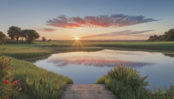 flower,outdoors,sky,day,cloud,water,tree,blue sky,no humans,sunlight,cloudy sky,grass,plant,red flower,nature,scenery,reflection,sunset,sun,horizon,road,bush,river,path,forest,landscape,lake,gradient sky,sunrise