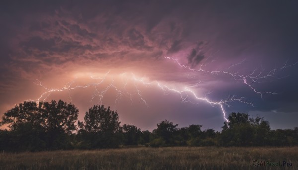 outdoors,sky,cloud,tree,no humans,cloudy sky,grass,nature,scenery,forest,sunset,electricity,lightning,red sky,landscape