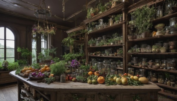 food,day,indoors,no humans,window,fruit,table,sunlight,bottle,plant,scenery,plate,apple,basket,potted plant,carrot,bread,shelf,grapes,meat,orange (fruit),food focus,tomato,vegetable,ceiling,ceiling light,loaded interior,tree,bowl,vines,kitchen,jar