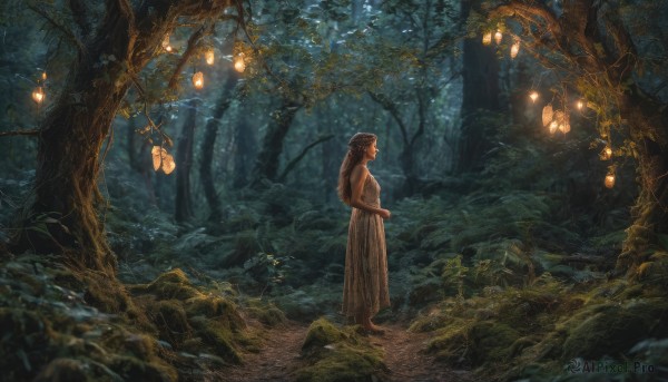 1girl,solo,long hair,skirt,brown hair,dress,standing,outdoors,pointy ears,from behind,tree,night,plant,nature,scenery,forest,lantern,fantasy,dark,wide shot,from side,profile,own hands together,rock,light,vines,fireflies