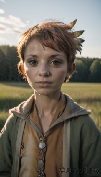 solo,looking at viewer,short hair,brown hair,shirt,1boy,brown eyes,jewelry,closed mouth,jacket,upper body,flower,male focus,outdoors,sky,day,necklace,blurry,lips,fur trim,depth of field,blurry background,feathers,child,freckles,realistic,feather hair ornament,male child,field,1girl,hair ornament,earrings,cloud,nature