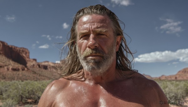 solo,long hair,brown hair,1boy,closed mouth,closed eyes,upper body,male focus,nude,outdoors,sky,day,shiny,cloud,blurry,blue sky,wet,shiny skin,blurry background,facial hair,scar,facing viewer,beard,mountain,realistic,mustache,blonde hair,depth of field,portrait,topless male,manly