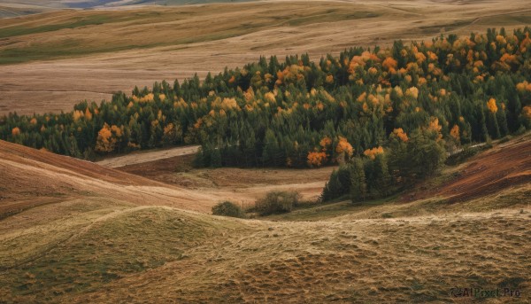 The allure of a landscape in a majestic day